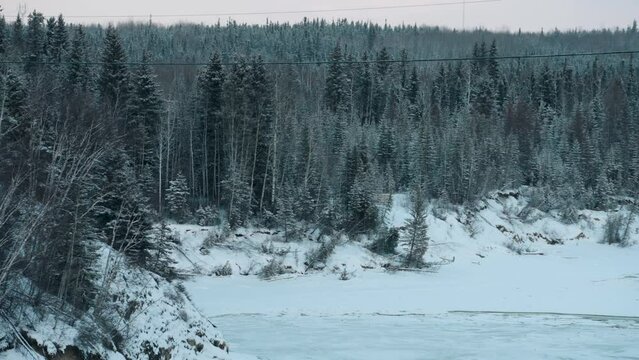 Slow Camera Pan Across Environmental Frozen Winter Lake Shoreline Tree Nature Damage Destruction Flooding