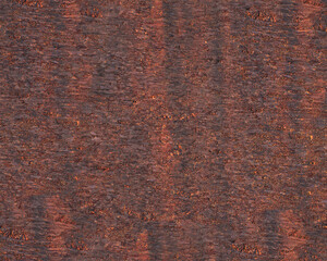 Pattern and structure of birch bark. Detail shot.