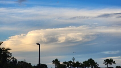 A picture drawn by nature