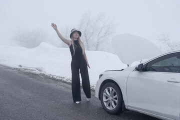 In the chill of a foggy winter day, a woman stands beside her broken-down car, seeking help on a...