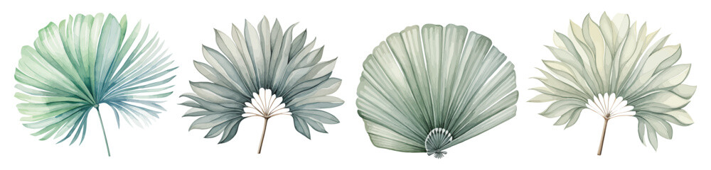 watercolor tropical monstera leaves set hand drawn illustration - 757118548
