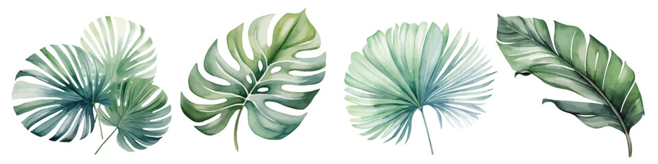 Fototapeta premium watercolor tropical monstera leaves set hand drawn illustration