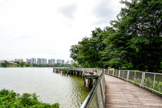 Jurong Lake Garden in Singapore