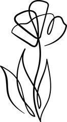 Continuous line drawing. Line art floral concept design. Flower drawing with single continuous line. Flower silhouette contour drawing with black thin line transparent background.