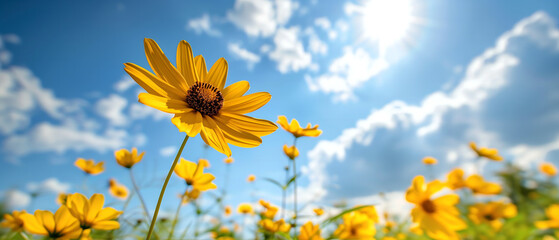 Beautiful yellow flower against the blue cloudy sky in the background. Spring and summer concept banner. Sunny day. - Powered by Adobe