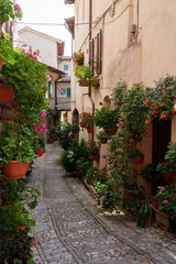 Fototapeta na wymiar Historic buildings of Spello, Umbria, Italy