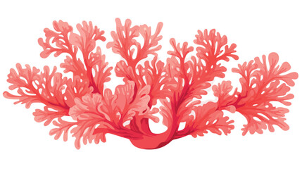 Tropical coral. Hand drawn vector for travel design