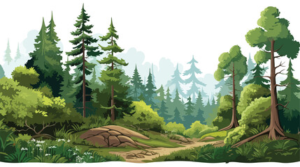 Vector forest scene with various forest trees vector - obrazy, fototapety, plakaty