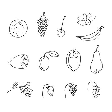 Fruits and berries doodles, vector illustration hand drawing