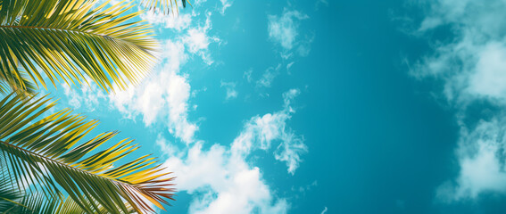 Fototapeta na wymiar Beautiful palm tree leaves against a blue sky with white clouds. Summer vacation background