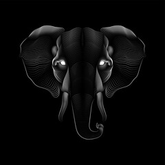 Abstract head of elephant line art design. Vector illustration.