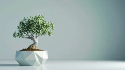 Schilderijen op glas A small bonsai tree thrives in a white pot, exuding tranquility and elegance © Muhammad