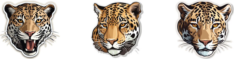 Set of leopard heads. Vector illustration of wild animal in cartoon style.