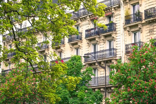 Vue sur des arbres feuillus devant un bel immeuble, avec effet de lumi&egrave;re chaude  