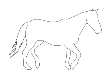 vector illustration of a black silhouette of a horse isolated on a white background. The theme of equestrian sports, animal husbandry and veterinary medicine

