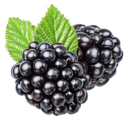 Blackberries with green leaves on white background. File contains clipping path.