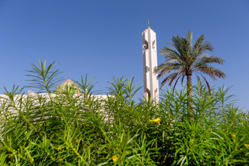 Minaret of the mosque in green environment in Abu Dhabi, UAE