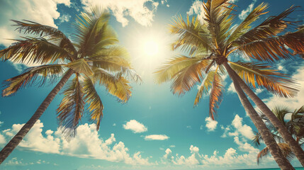  Tropical Palm Trees Against Blue Sky - obrazy, fototapety, plakaty
