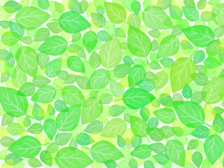 新緑の背景素材壁紙