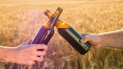 Two hands clink bottles of beer on a background of a wheat. Side view