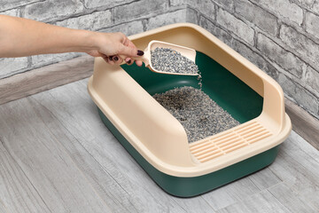 man pours fresh litter into cat litter