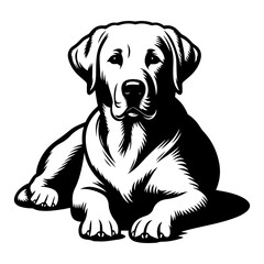 Labrador Retriever Vector -  Labrador Retriever Sitting position