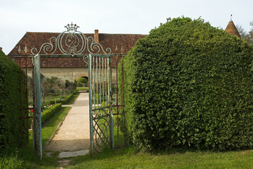 Taxus buccata; If commun, Chateau XVIIé , jardins, Cormatin, 71, Saône et Loire, France