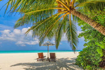 Tropical beach coast as summer landscape. Leisure couple chairs palm trees, calm sea sky. Luxury...