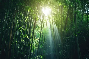 Schilderijen op glas A mesmerizing scene of sunlight filtering through the tall bamboo trees in a serene forest, A dense bamboo forest with rays of sunlight peeking through, AI Generated © Iftikhar alam