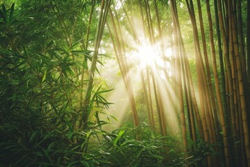 A photo capturing the beauty and serenity of the suns rays piercing through a serene bamboo grove, A dense bamboo forest with rays of sunlight peeking through, AI Generated