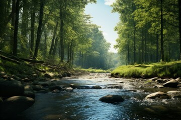Tranquil river flowing through peaceful forest.