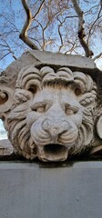 Lion head unearthed from Bandırma ancient excavations