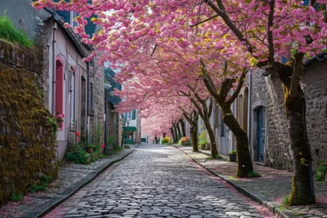 Badkamer foto achterwand Serene Cobblestone Street With Cherry Blossom Trees, A narrow cobblestone street lined with blooming cherry blossom trees, AI Generated © Iftikhar alam