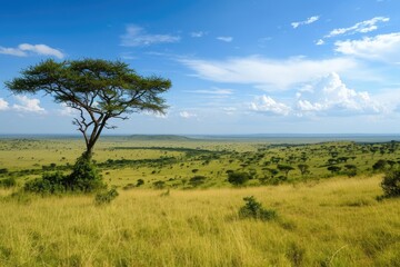 A sprawling field with a solitary tree positioned at its center, standing tall amidst the open landscape, A panoramic view of the African savannah, AI Generated