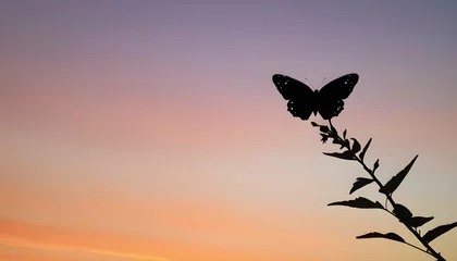 Fotobehang A Butterfly Silhouette Against A Sunrise Sky © Hiba