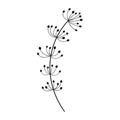 black silhouette of a plant, isolated on a white background