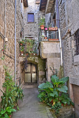 Vitorchiano, strade, vicoli, piazze e case della città medievale - Viterbo, Tuscia Lazio	