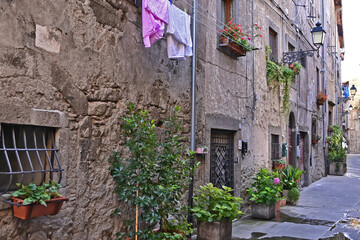 Fototapeta na wymiar Vitorchiano, strade, vicoli, piazze e case della città medievale - Viterbo, Tuscia Lazio 