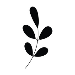 Fototapeta na wymiar black silhouette of a plant, isolated on a white background