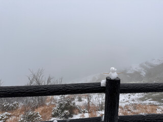 冬の山で佇む雪だるま