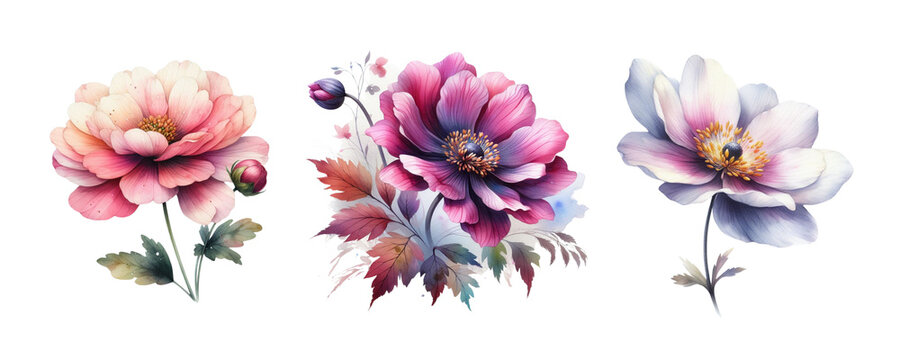 set of watercolor art flowers isolated on transparent PNG background