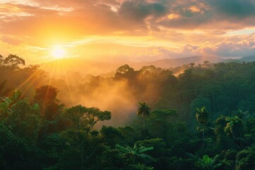 The rays of the sun break through the clouds, illuminating the dense jungle below, Panorama of a rainforest during sunrise, AI Generated