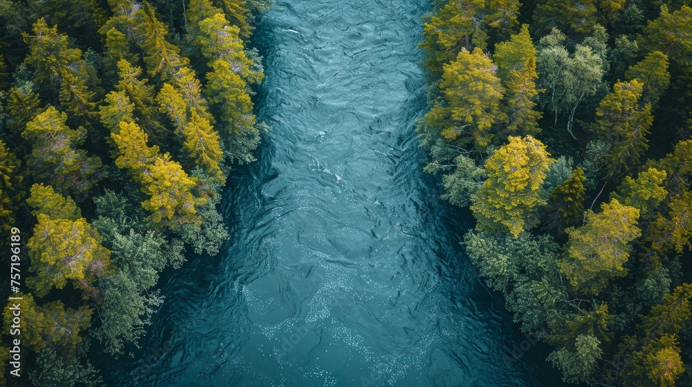 Aufkleber an aerial view of a coniferous forest and river in norway surrounded by blue water - a top-down pano