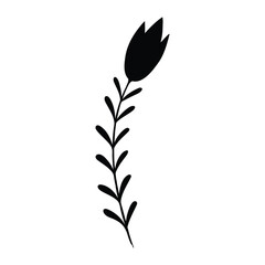 black silhouette of a plant, isolated on a white background