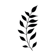 Fototapeta premium black silhouette of a plant, isolated on a white background