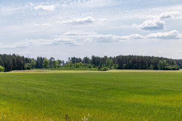 cereal growing business in eastern europe