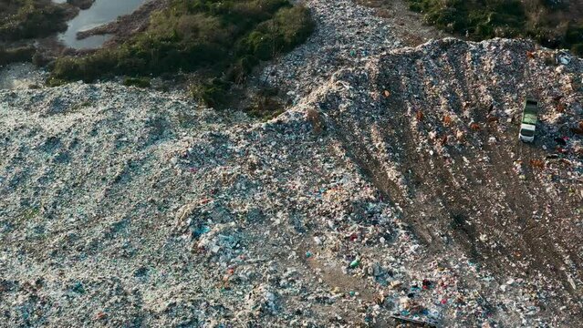 Aerial view of garbage truck unload pile of waste at landfill with cows. Dump of unsorted waste garbage pile in trash dump. Environmental pollution and ecological disaster. View from drone