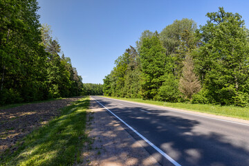 highway in the forest in the summer season