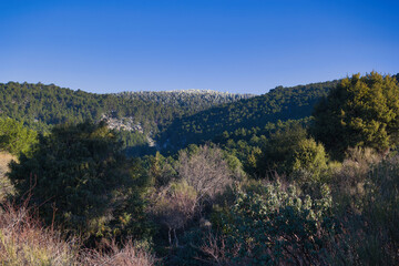 landscape, view, mountains, sunrise, nature, trees, plants, spai