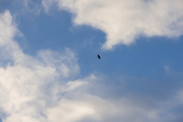 beautiful sky with clouds at dawn in winter